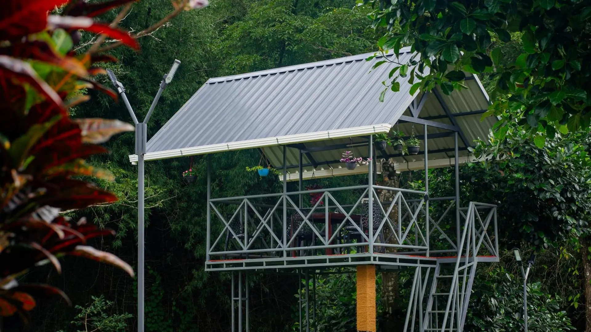 Misty Forest Resort واياناد فيلة
